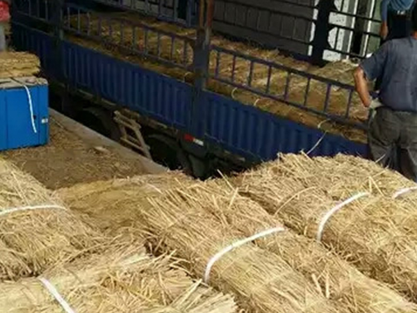 草支墊