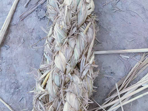 護(hù)坡草棒
