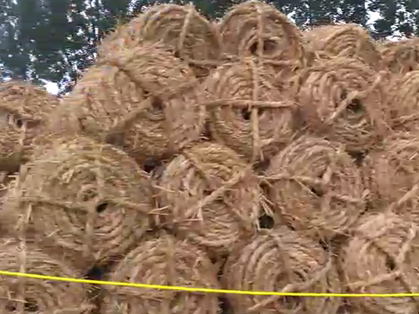 風(fēng)沙專用草制品