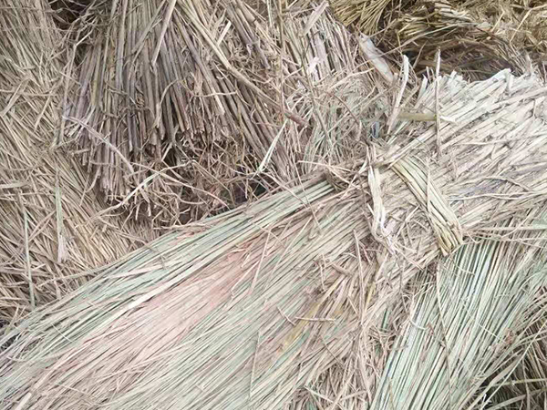 風(fēng)沙專用草制品